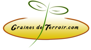 l fld43 logo graine 300x166