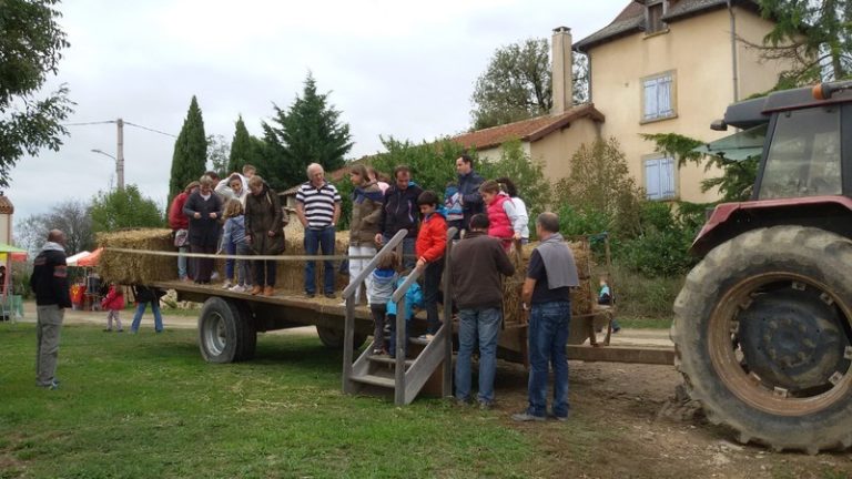 l fld91 20141005 162203 768x432