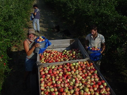 l fld91 domainevernou dsc07785 recoltegala2010