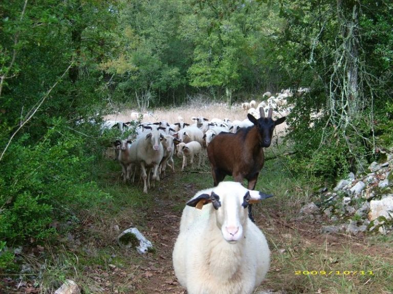 l fld91 dsci1453 768x576