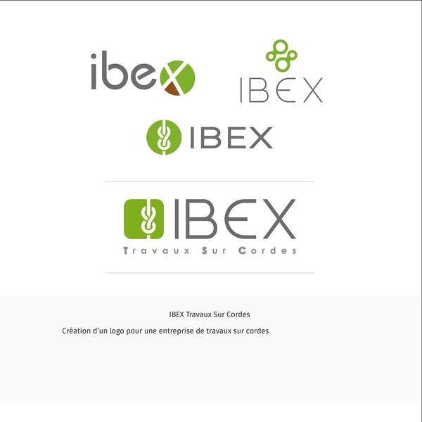 l fld91 ibex travaux sur cordes logo