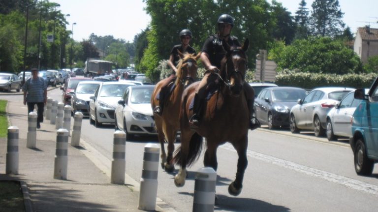 l fld91 img 0779 768x431