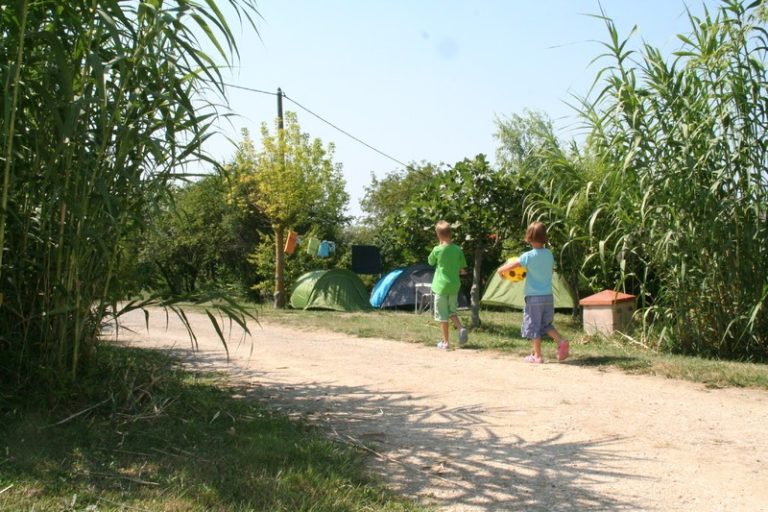 l fld91 img 4235 768x512