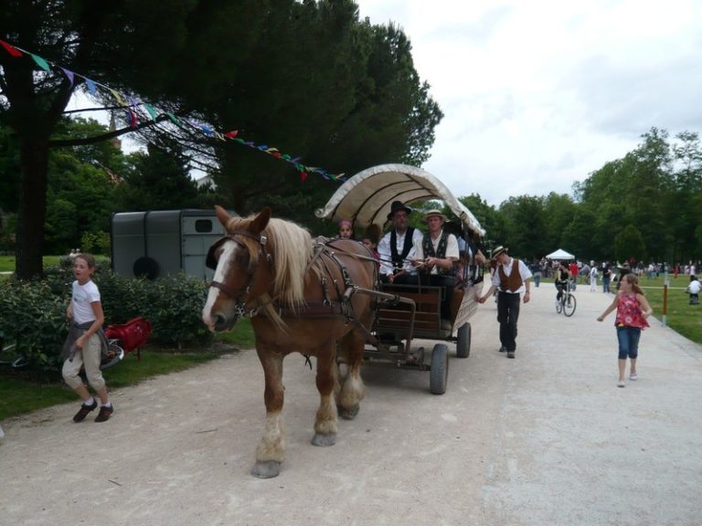 l fld91 p1000219 768x576