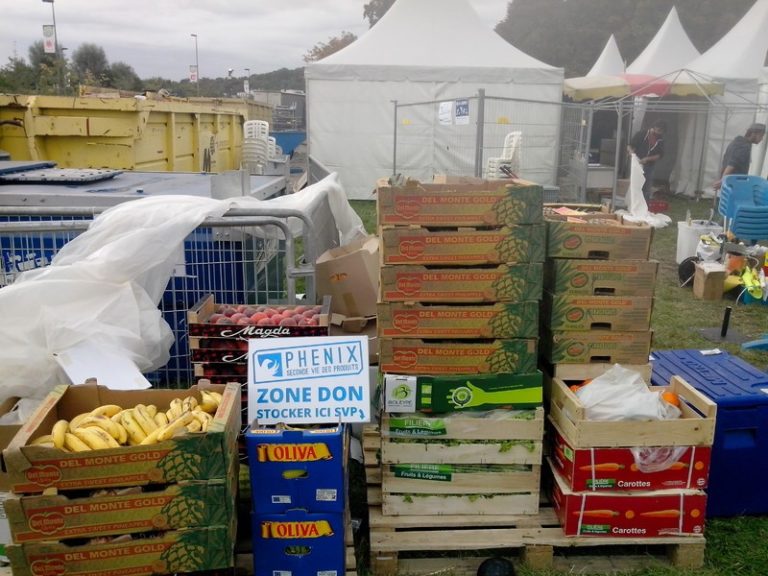 l fld91 phenix rockenseine 768x576