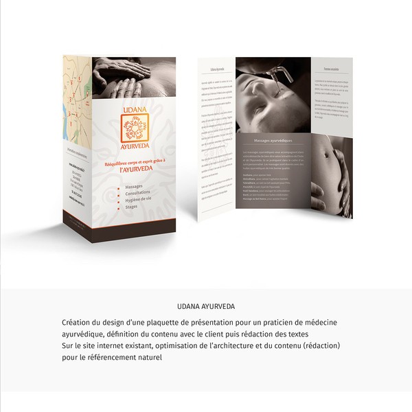 l fld91 undana ayurveda plaquette